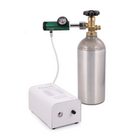 Load image into Gallery viewer, O3Elite Mini Ozone Generator
